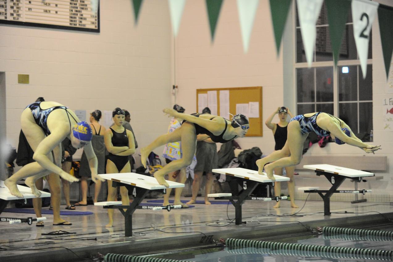 Men&rsquo;s and Women&rsquo;s Swimming Complete Action at the NEISDA Championships