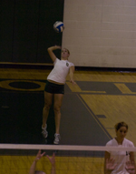 Womens Volleyball Swept By Westfield State