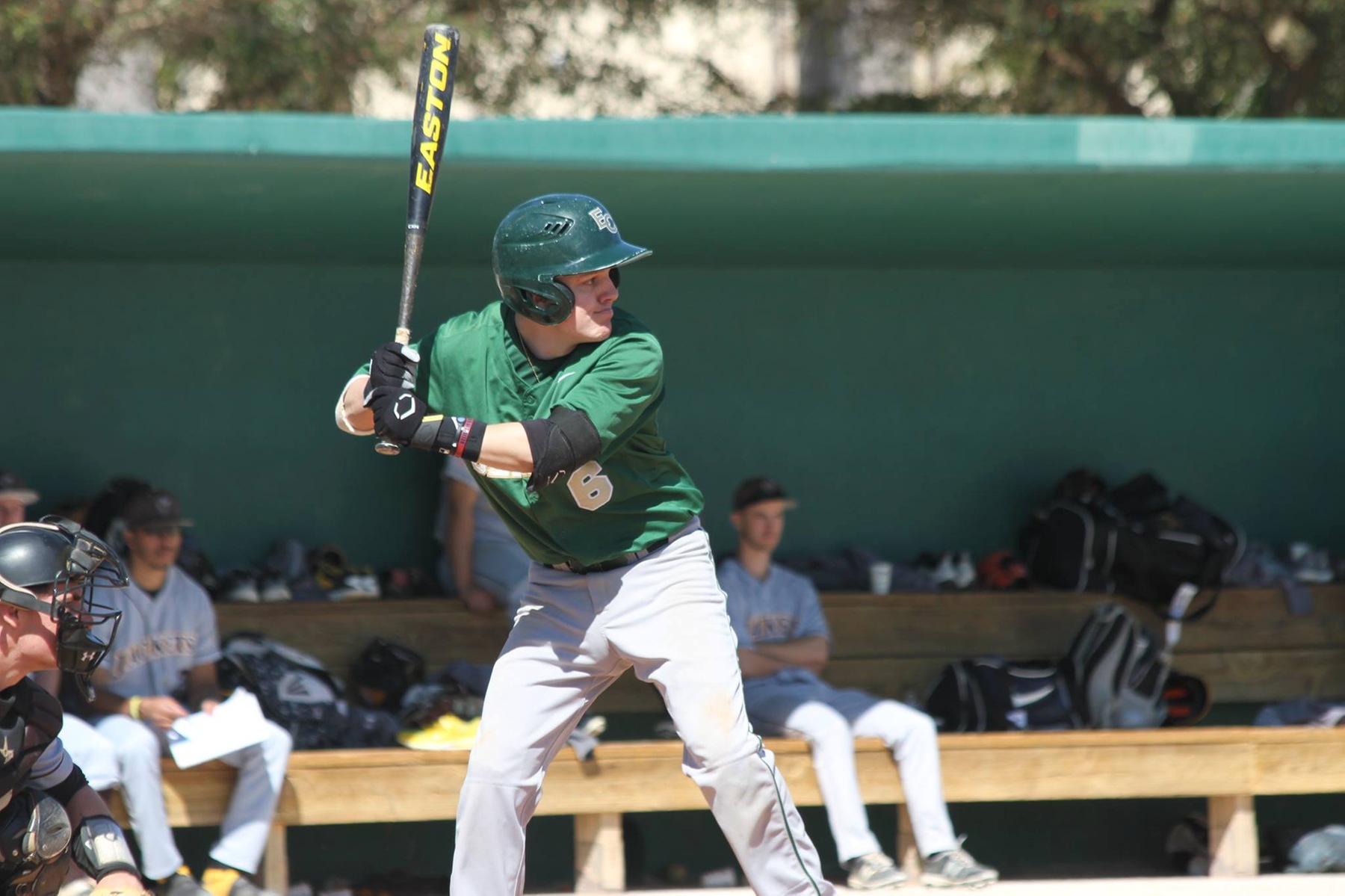 Baseball Falls To Alvernia In Doubleheader