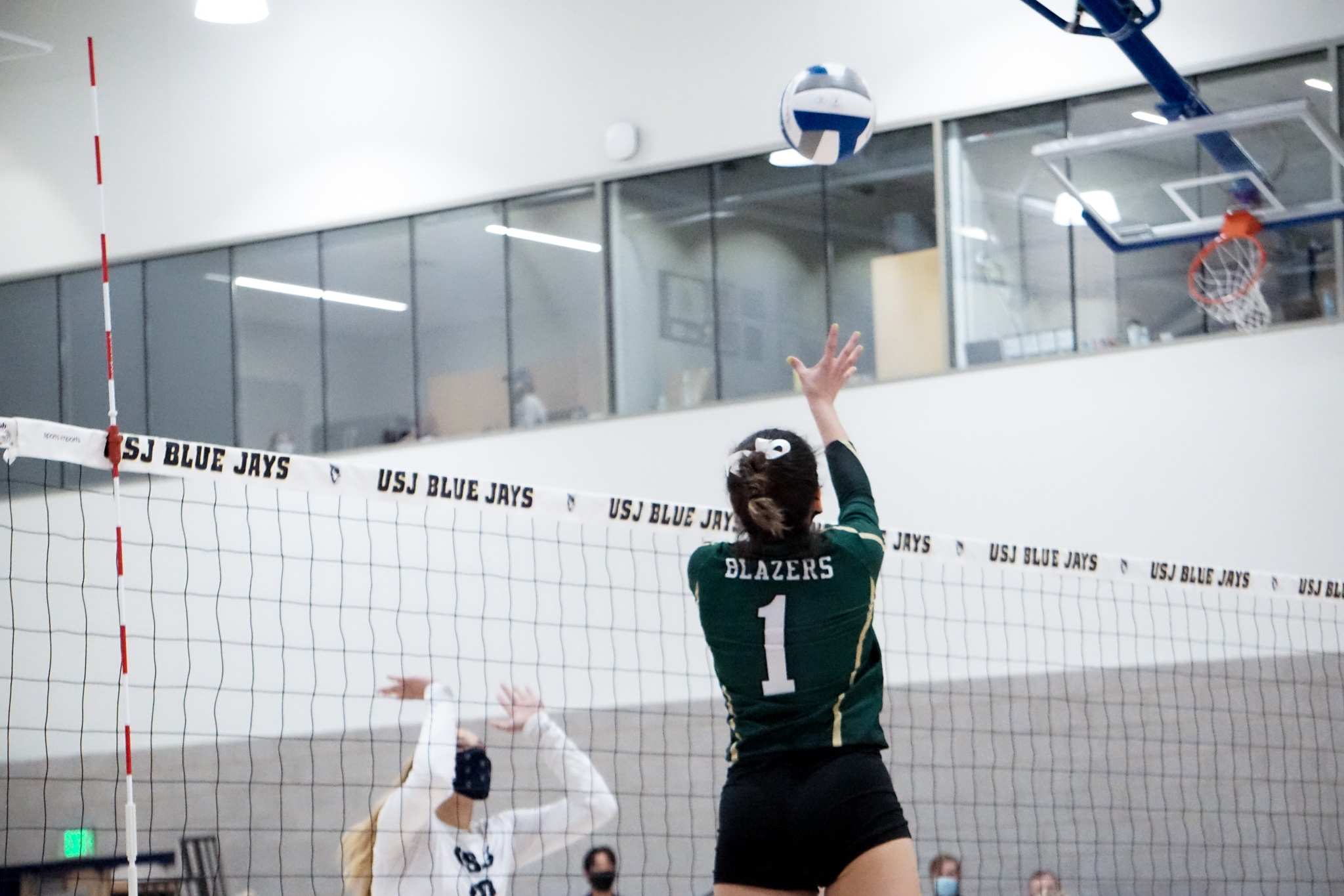 Blazers Drop to Rivier