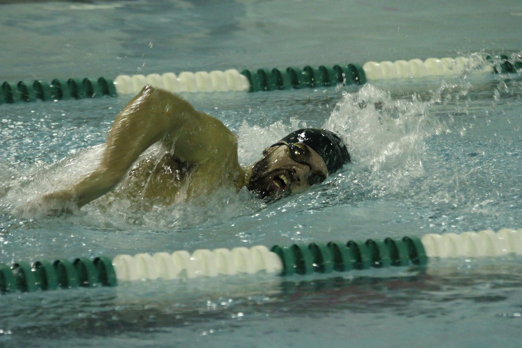 Swimming Set Records at 2016 NEISDA Championships