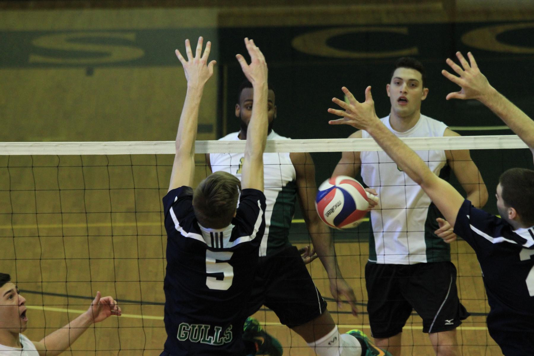 Men's Volleyball Falls To Endicott