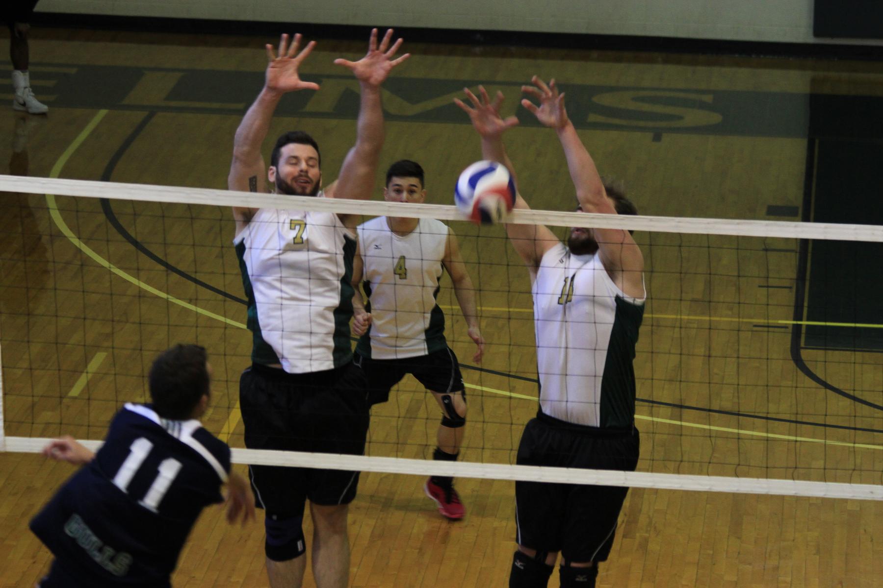 Men's Volleyball Swept at Regis Tri-Match