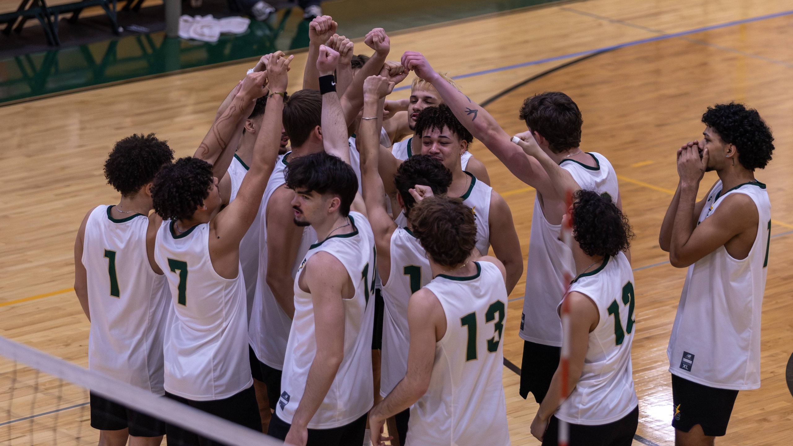 Men's Volleyball Hosts No. 1 Springfield College