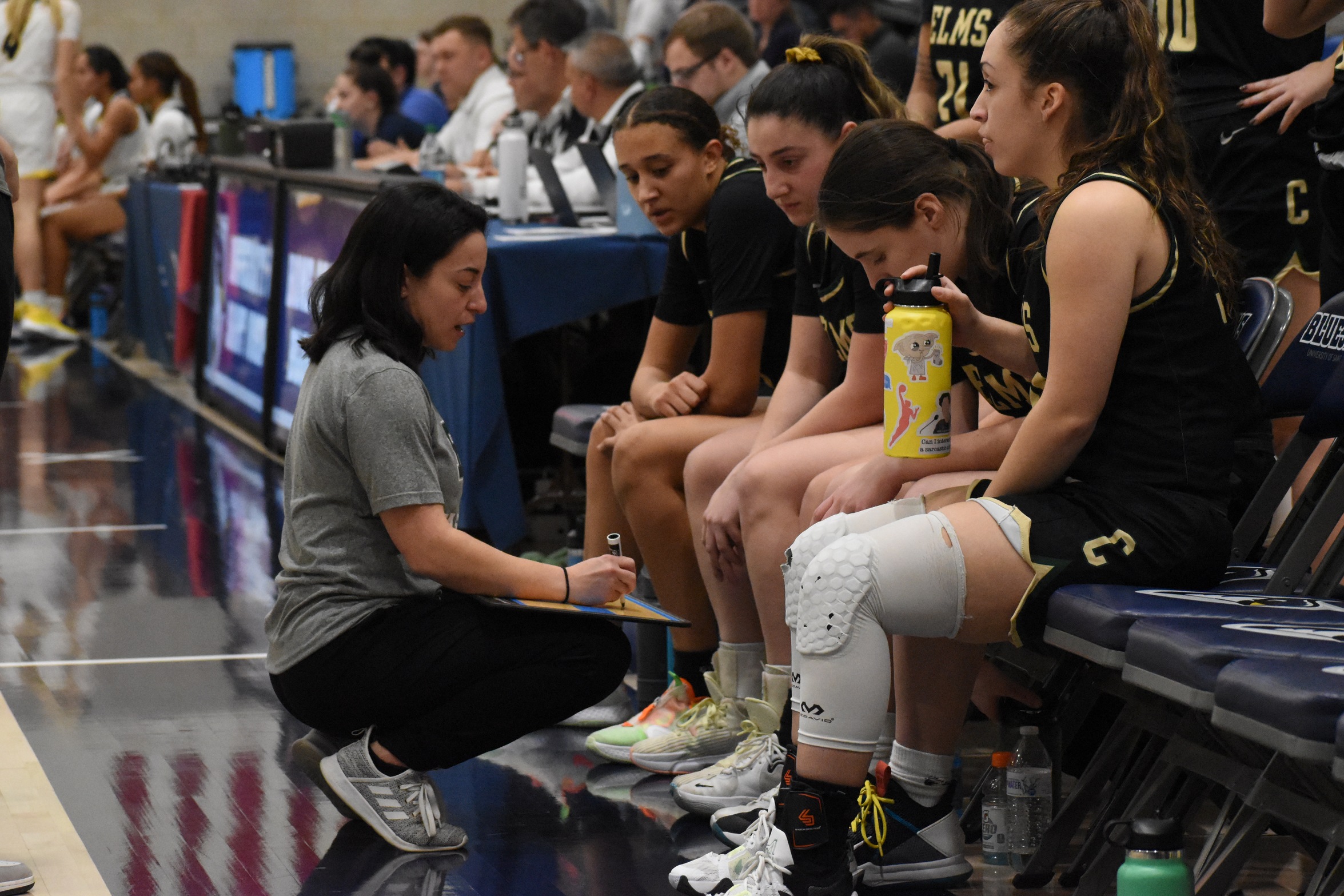 Women's Basketball Bested by Falcons