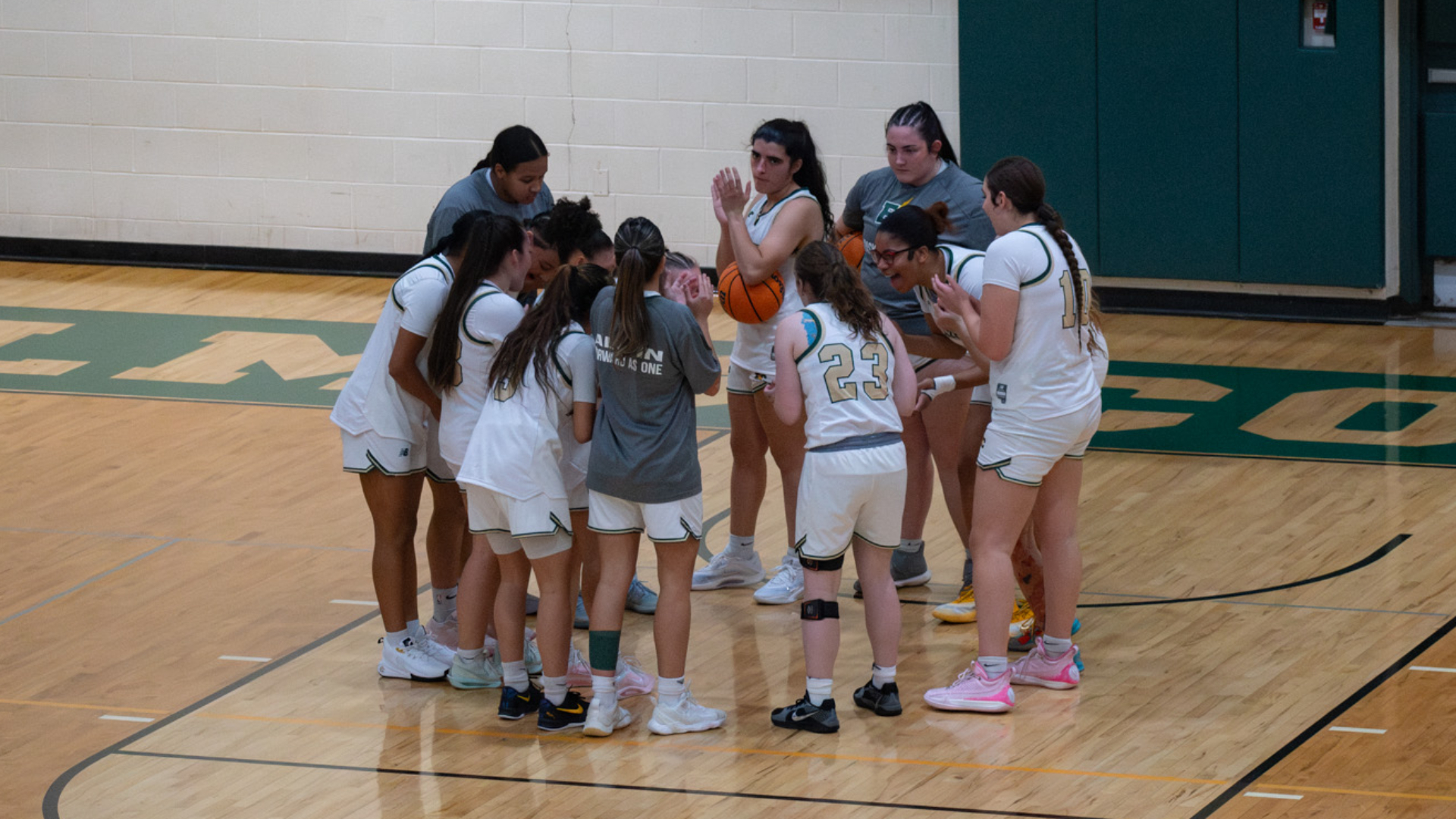Women's Basketball Lose in Non-Conference Action to Western New England