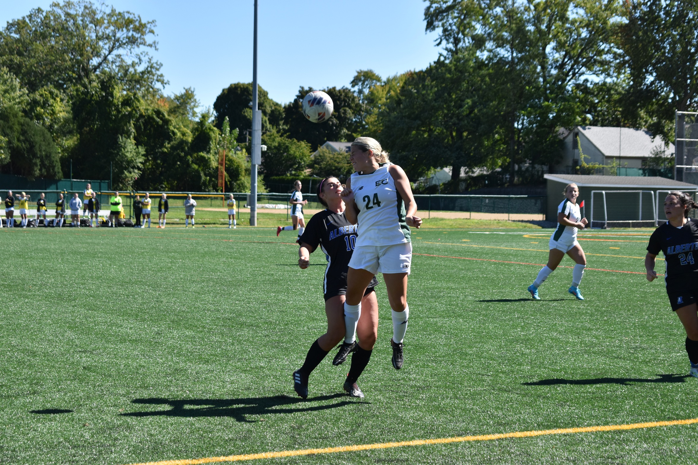 Blazer Draw With Falcons