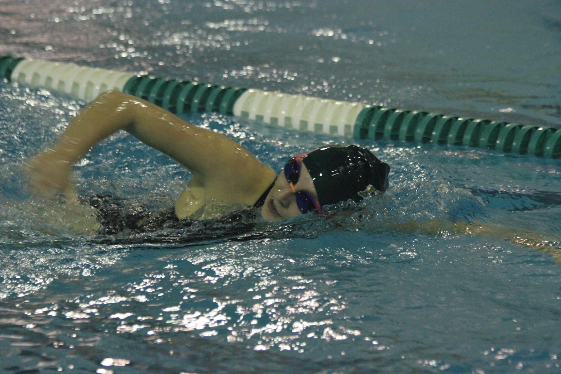 Men's Swimming Races Past Colby-Sawyer, Women Edged By Chargers