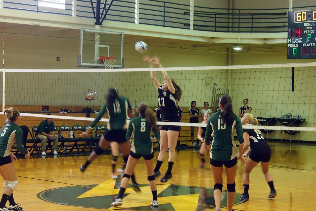 Women&rsquo;s Volleyball Falls to Western New England University, Western Connecticut State University