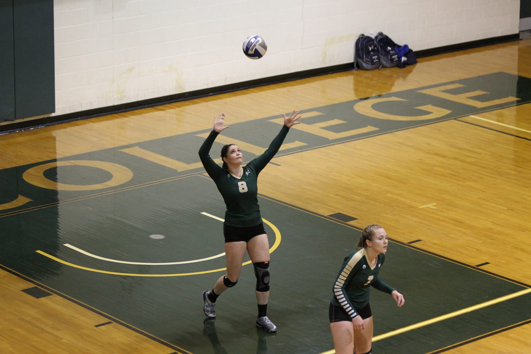 Women's Volleyball Sweeps Newbury In NECC Opener
