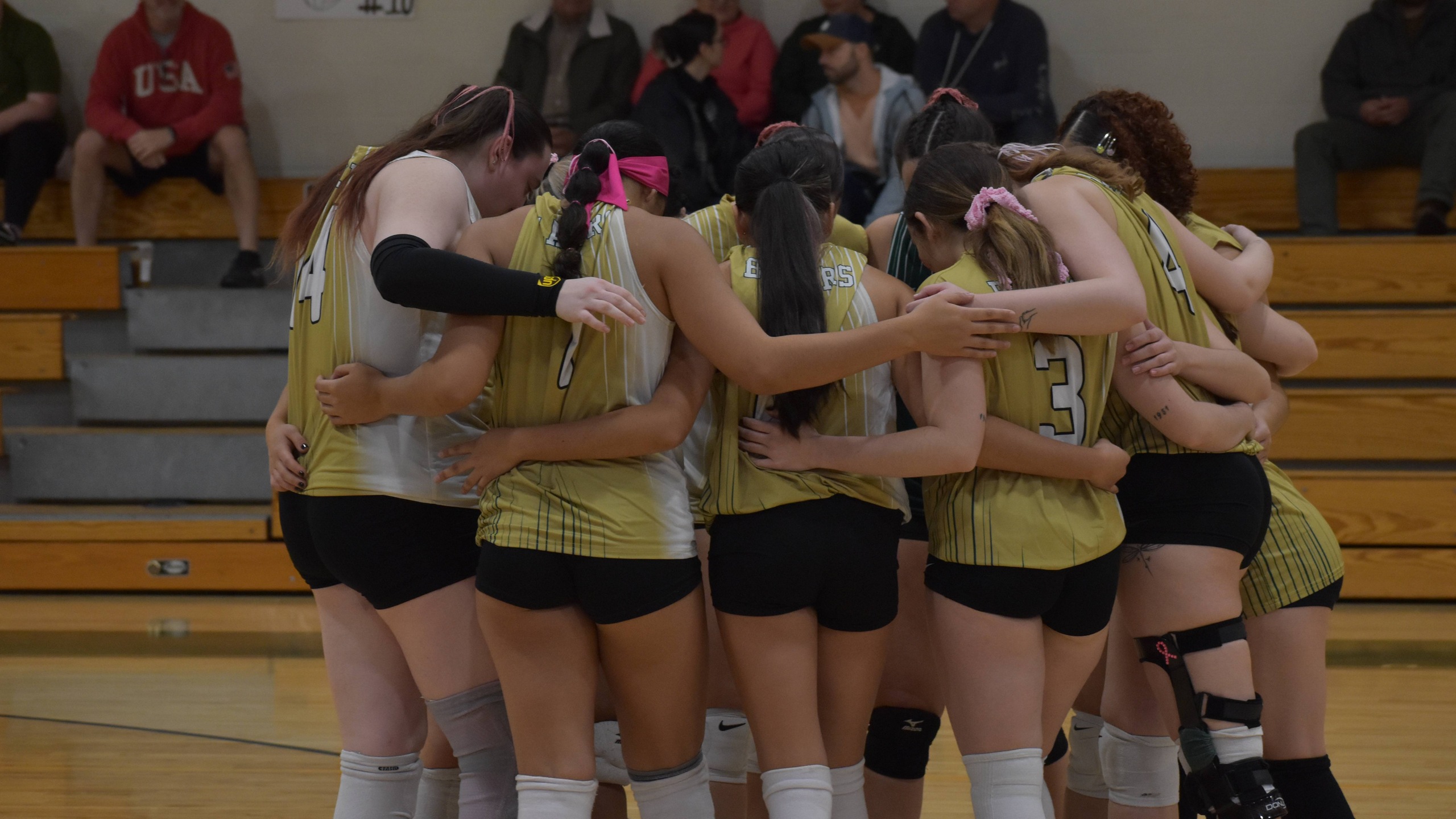 Women's Volleyball's Woes Continue After Loss to Wentworth