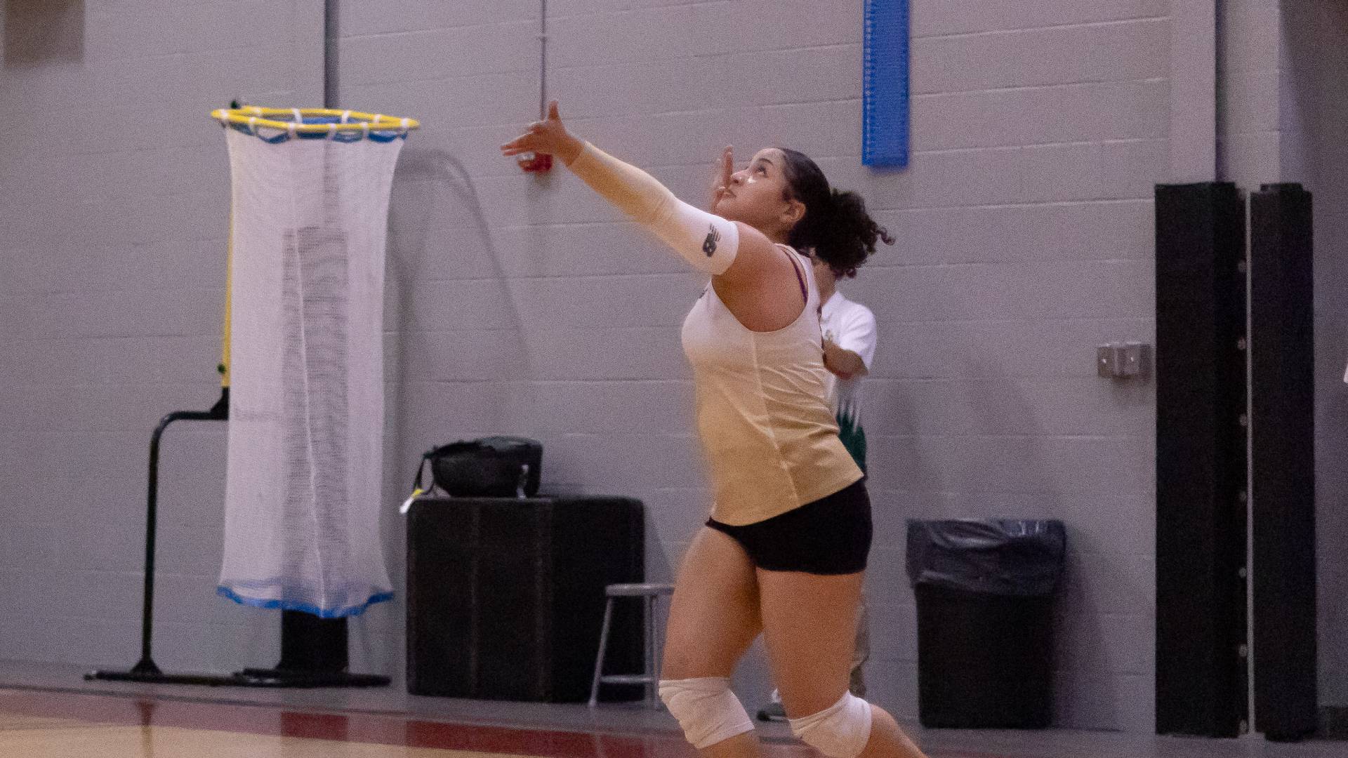 Women's Volleyball Wins the Conference Battle Against Norwich
