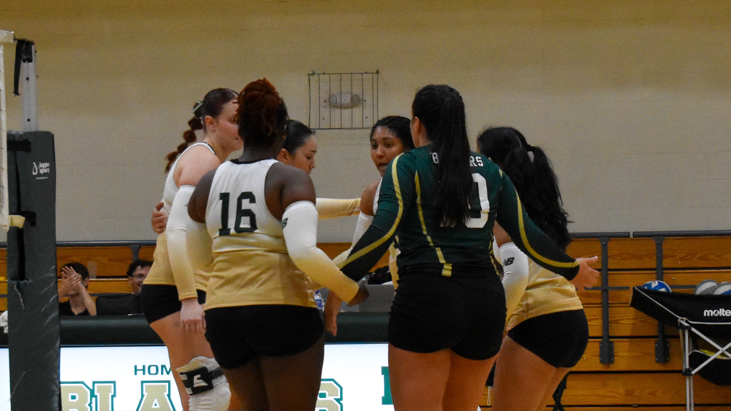 Women's Volleyball Swept by Simmons at Home