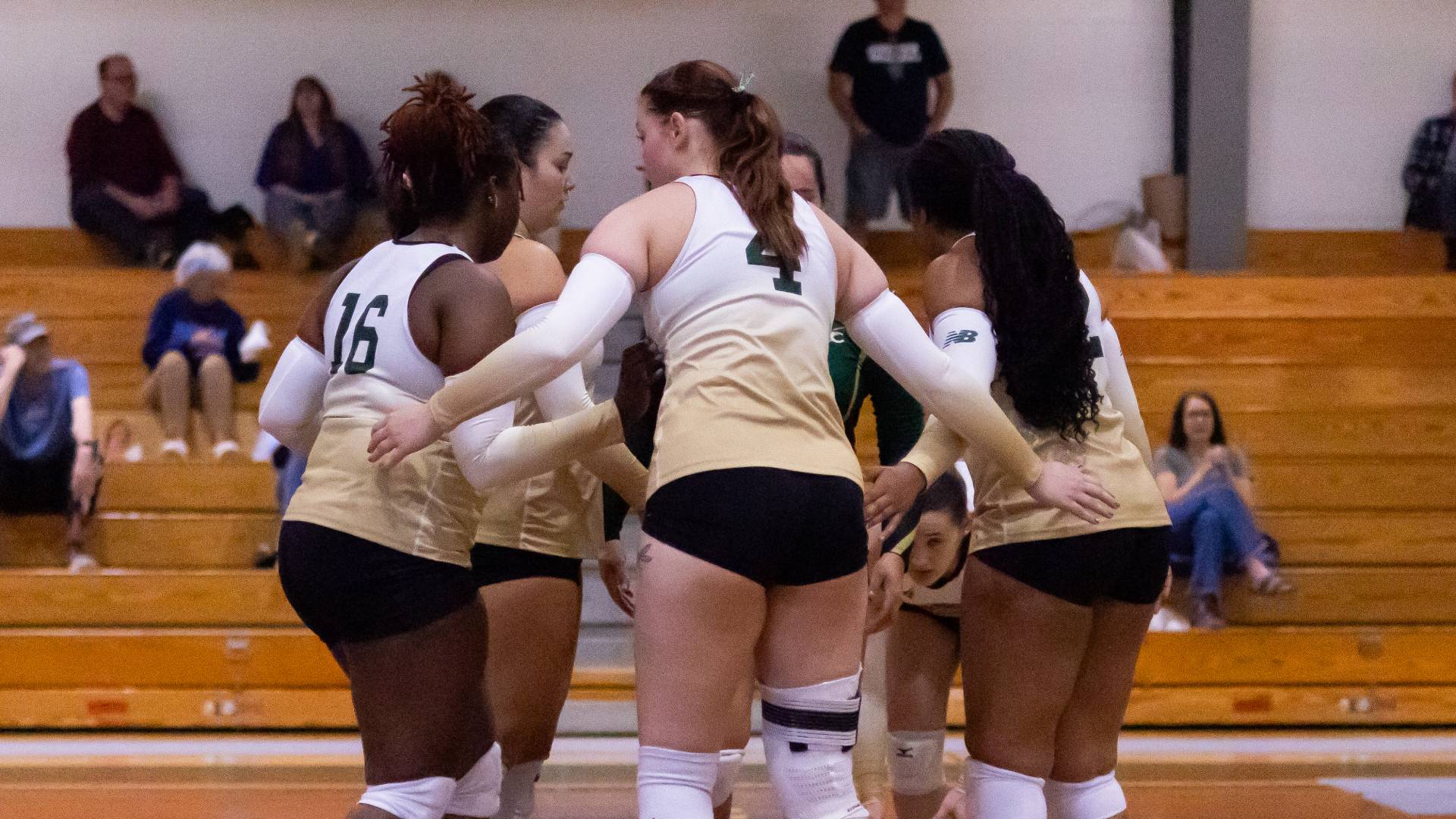 Women's Volleyball Wins a Set Against a Tough Colby-Sawyer Side