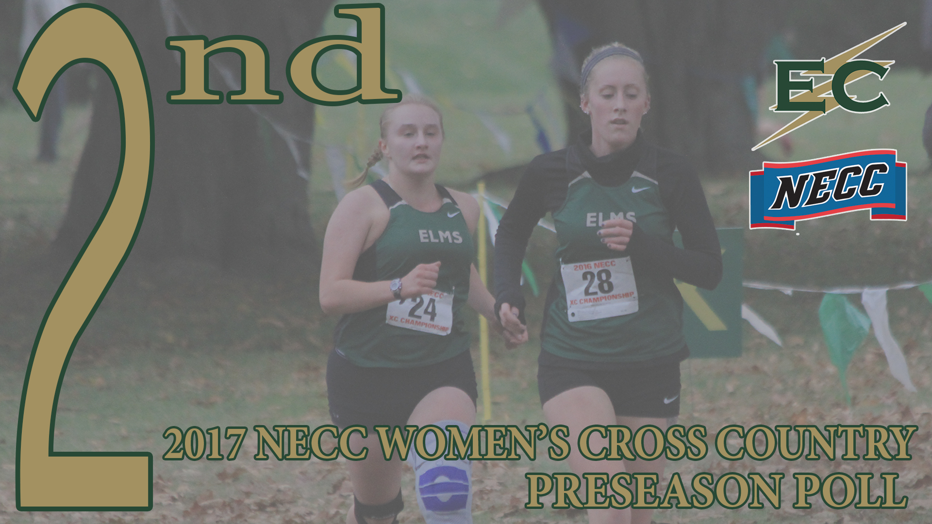Women's Cross Country Voted Second In NECC Preseason Poll